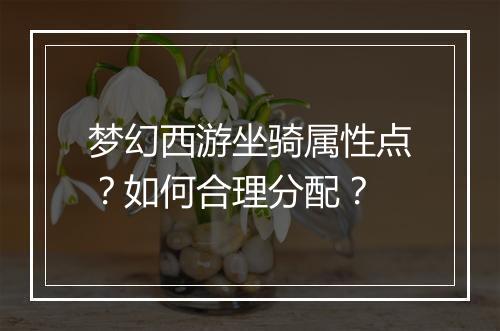 梦幻西游坐骑属性点?如何合理分配?