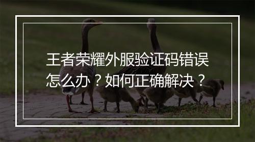 王者荣耀外服验证码错误怎么办?如何正确解决?