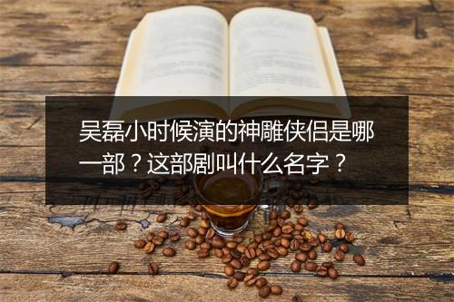 吴磊小时候演的神雕侠侣是哪一部?这部剧叫什么名字?