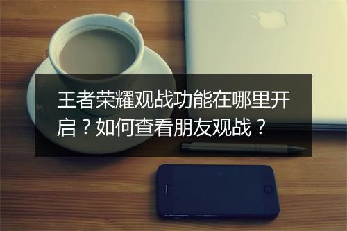 王者荣耀观战功能在哪里开启？如何查看朋友观战？