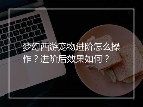 梦幻西游宠物进阶怎么操作？进阶后效果如何？