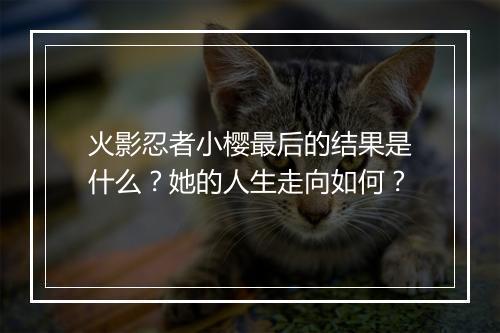 火影忍者小樱最后的结果是什么?她的人生走向如何?