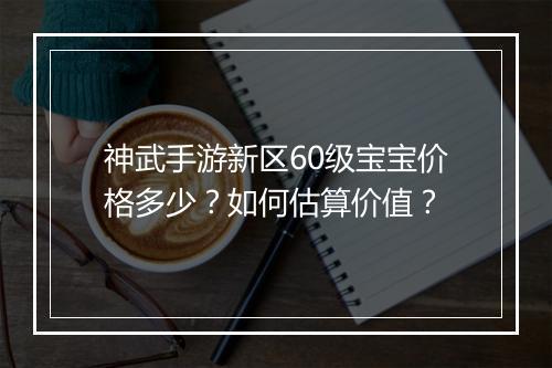 神武手游新区60级宝宝价格多少?如何估算价值?