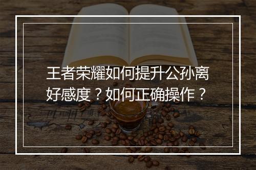 王者荣耀如何提升公孙离好感度?如何正确操作?