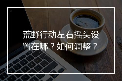 荒野行动左右摇头设置在哪?如何调整?