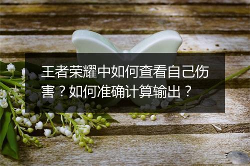 王者荣耀中如何查看自己伤害?如何准确计算输出?