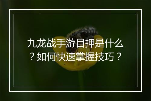 九龙战手游目押是什么?如何快速掌握技巧?