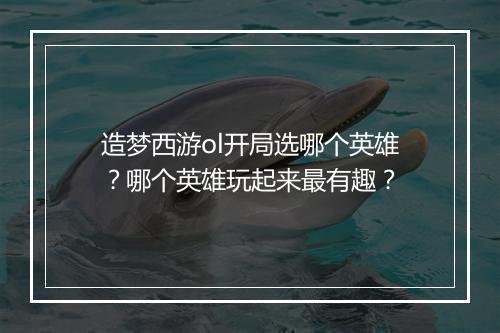 造梦西游ol开局选哪个英雄？哪个英雄玩起来最有趣？