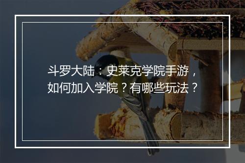 斗罗大陆:史莱克学院手游,如何加入学院?有哪些玩法?
