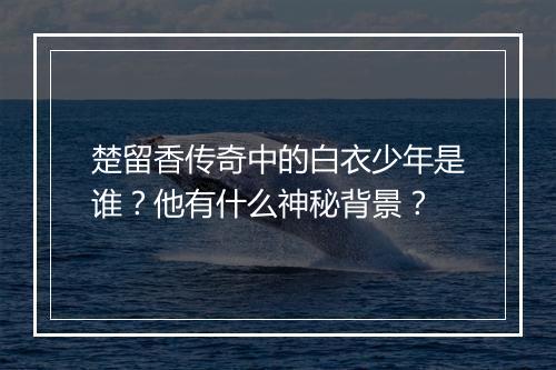 楚留香传奇中的白衣少年是谁?他有什么神秘背景?