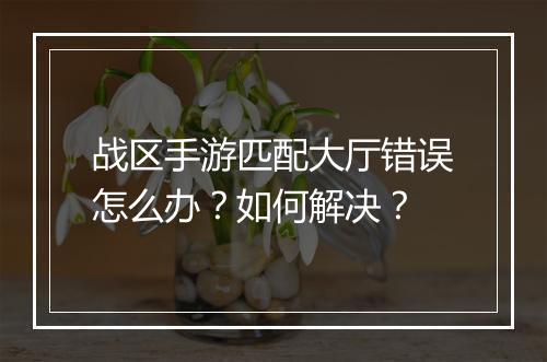 战区手游匹配大厅错误怎么办?如何解决?