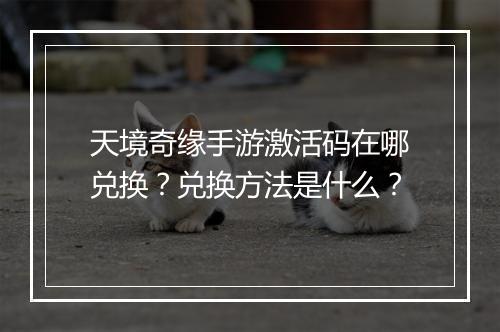 天境奇缘手游激活码在哪兑换?兑换方法是什么?