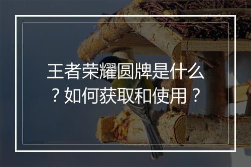 王者荣耀圆牌是什么?如何获取和使用?