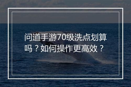 问道手游70级洗点划算吗？如何操作更高效？