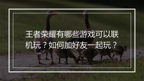 王者荣耀有哪些游戏可以联机玩？如何加好友一起玩？