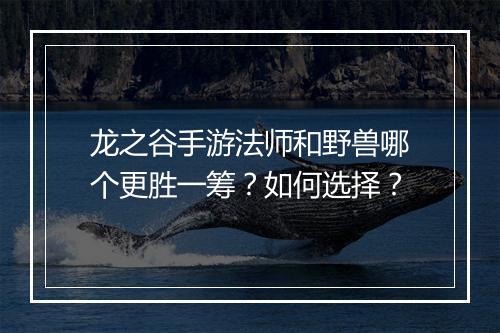 龙之谷手游法师和野兽哪个更胜一筹?如何选择?