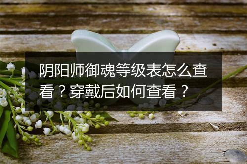 阴阳师御魂等级表怎么查看?穿戴后如何查看?