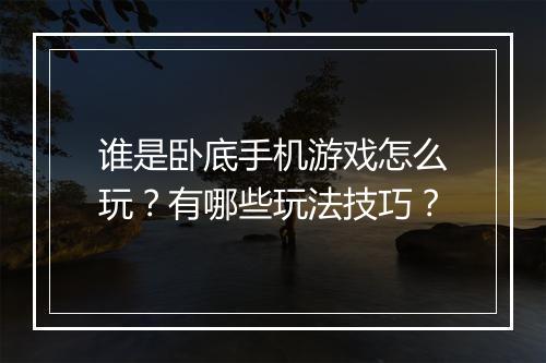 谁是卧底手机游戏怎么玩？有哪些玩法技巧？