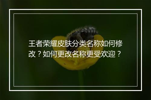 王者荣耀皮肤分类名称如何修改？如何更改名称更受欢迎？