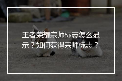 王者荣耀宗师标志怎么显示?如何获得宗师标志?