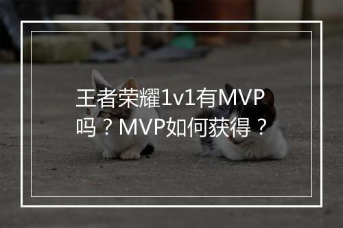 王者荣耀1v1有MVP吗?MVP如何获得?