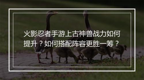 火影忍者手游上古神兽战力如何提升?如何搭配阵容更胜一筹?