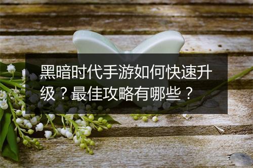 黑暗时代手游如何快速升级?最佳攻略有哪些?