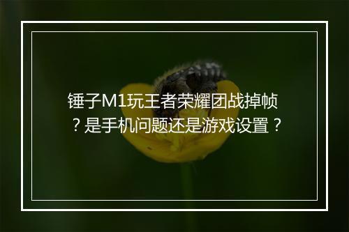 锤子M1玩王者荣耀团战掉帧?是手机问题还是游戏设置?