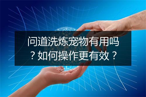 问道洗炼宠物有用吗?如何操作更有效?