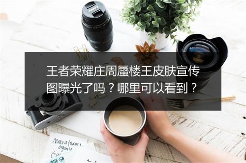 王者荣耀庄周蜃楼王皮肤宣传图曝光了吗？哪里可以看到？