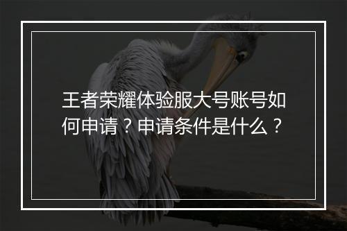 王者荣耀体验服大号账号如何申请？申请条件是什么？