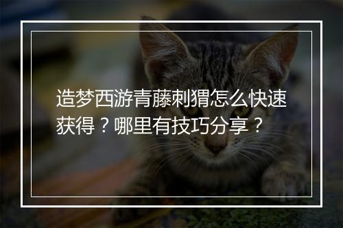 造梦西游青藤刺猬怎么快速获得?哪里有技巧分享?