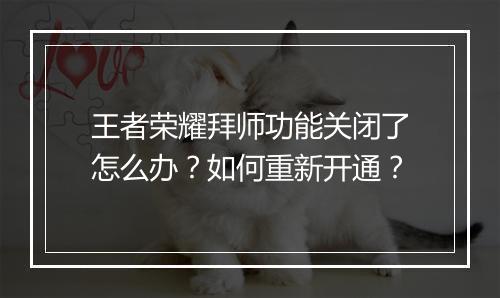 王者荣耀拜师功能关闭了怎么办?如何重新开通?