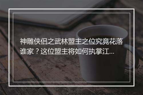 神雕侠侣之武林盟主之位究竟花落谁家？这位盟主将如何执掌江湖？