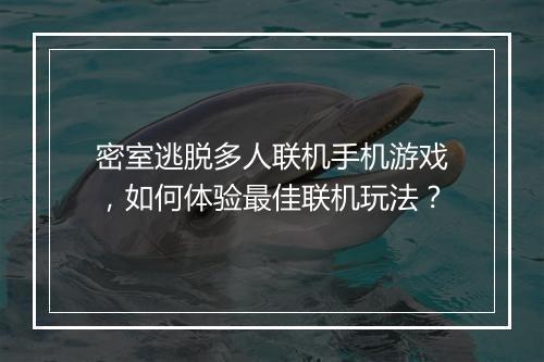密室逃脱多人联机手机游戏,如何体验最佳联机玩法?
