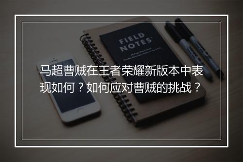 马超曹贼在王者荣耀新版本中表现如何?如何应对曹贼的挑战?