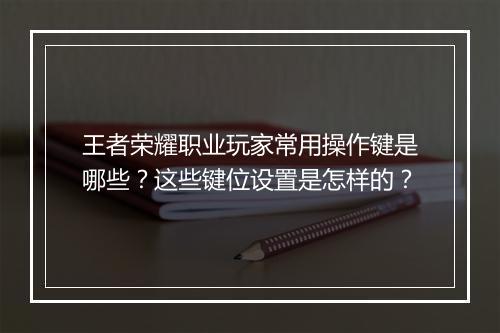 王者荣耀职业玩家常用操作键是哪些？这些键位设置是怎样的？