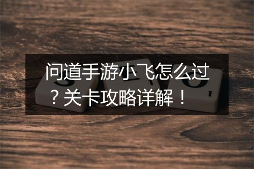 问道手游小飞怎么过？关卡攻略详解！