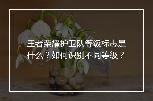王者荣耀护卫队等级标志是什么？如何识别不同等级？