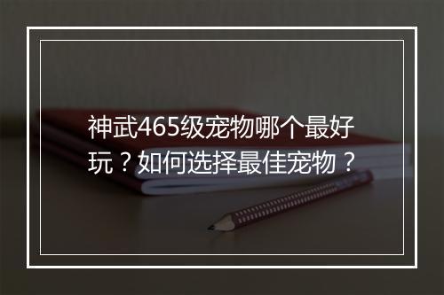 神武465级宠物哪个最好玩?如何选择最佳宠物?