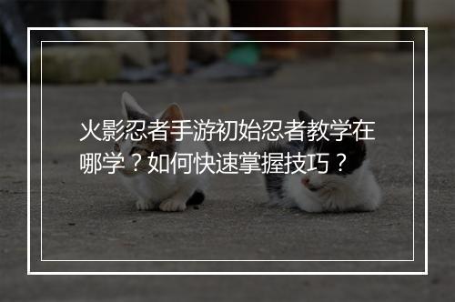 火影忍者手游初始忍者教学在哪学?如何快速掌握技巧?