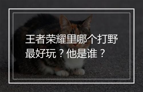 王者荣耀里哪个打野最好玩？他是谁？