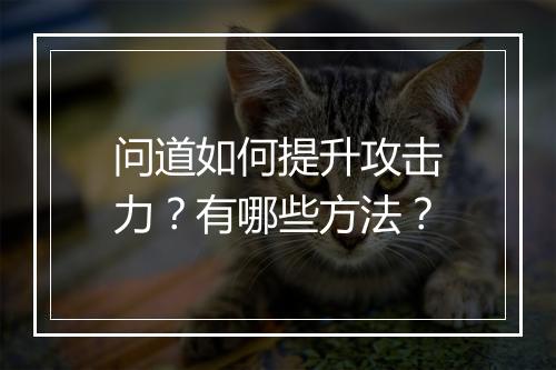 问道如何提升攻击力？有哪些方法？