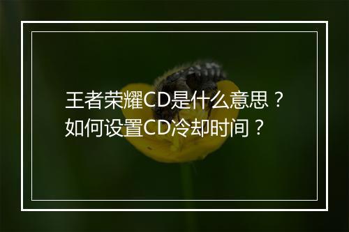 王者荣耀CD是什么意思?如何设置CD冷却时间?