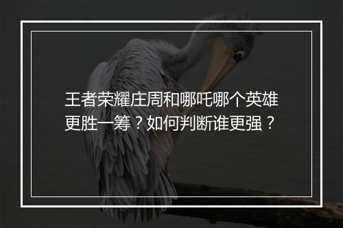 王者荣耀庄周和哪吒哪个英雄更胜一筹？如何判断谁更强？