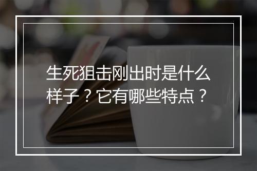 生死狙击刚出时是什么样子？它有哪些特点？
