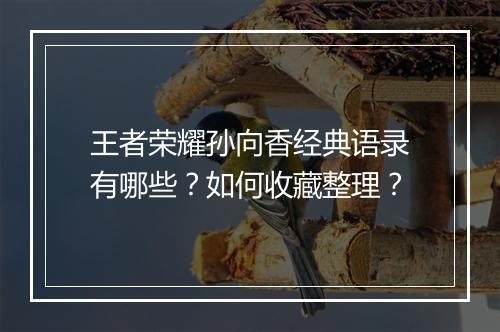 王者荣耀孙向香经典语录有哪些？如何收藏整理？