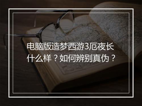 电脑版造梦西游3厄夜长什么样?如何辨别真伪?