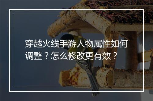 穿越火线手游人物属性如何调整?怎么修改更有效?
