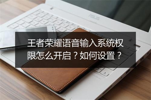 王者荣耀语音输入系统权限怎么开启?如何设置?